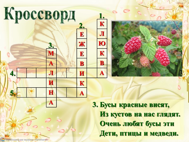 3. Бусы красные висят,     Из кустов на нас глядят. 